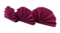 Set Fertigservietten + Platzdeckchen im Kombinationslook Set-PD-014-Schwarz+S-F-018-Beere