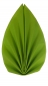 S-W-006-Kiwigr&uuml;n