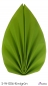 S-W-006-Kiwigr&uuml;n