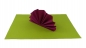 Set Fertigservietten + Platzdeckchen im Kombinationslook Set-PD-006-Kiwigr&uuml;n+S-F-018-Beere