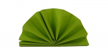 S-F-006-Kiwigr&uuml;n