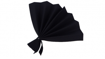 S-FCX-014-Schwarz