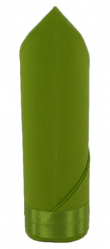 S-JS-006-Kiwigr&uuml;n