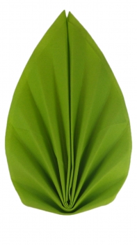 S-W-006-Kiwigr&uuml;n