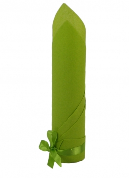 S-SJ1-006-Kiwigr&uuml;n