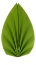 S-W-006-Kiwigr&uuml;n