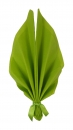 S-W2-006-Kiwigr&uuml;n